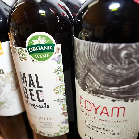 Pensión Piltriquitron 3*