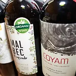 Vendégház Piltriquitron 3*